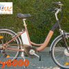 Bici Sbry6000 city bike colore nero bronzo