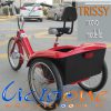 Triciclo elettrico Trissy 1