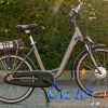 Bicicletta elettrica Amy 9 livelli di assistenza