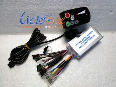 Centralina 24V con Display (kit)