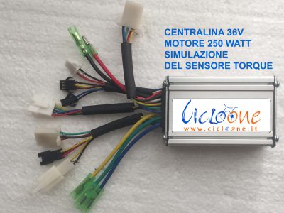 centralina controller sinusoidale sensore torque