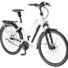 Bici bianca Bosch Active Line Plus