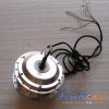 motore ebike 36V 250 watt brushless